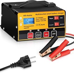 Cargadores 24V para camión