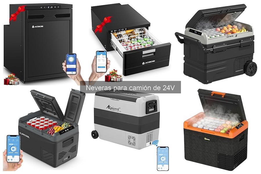 Capacidades y tamaños de neveras de 24V para camiones