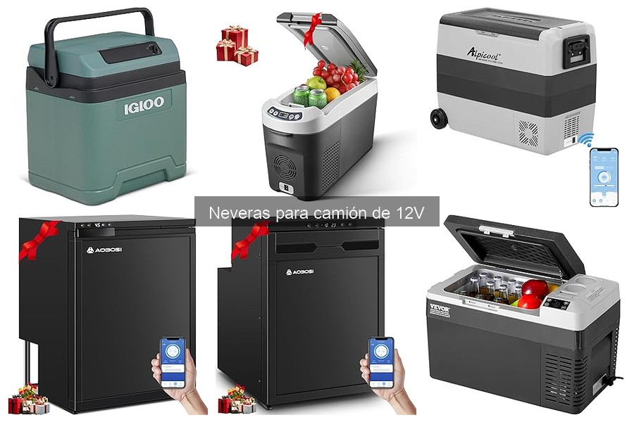 Cómo elegir la mejor nevera para camión de 12V
