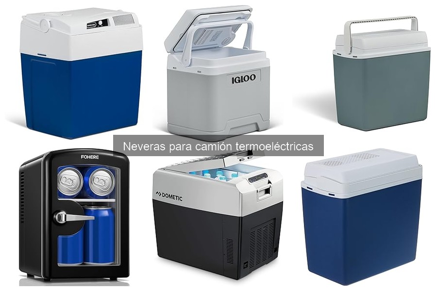 Cómo elegir la mejor nevera termoeléctrica para camiones