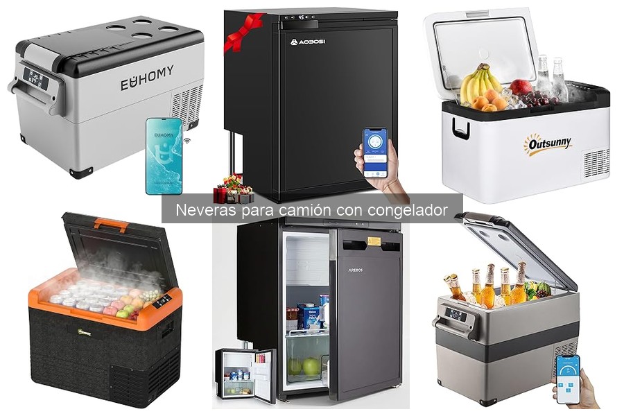 Comparativa de Neveras para Camión con Congelador