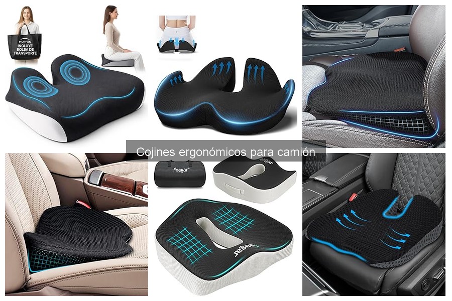 Guía de compra de cojines ergonómicos para camiones