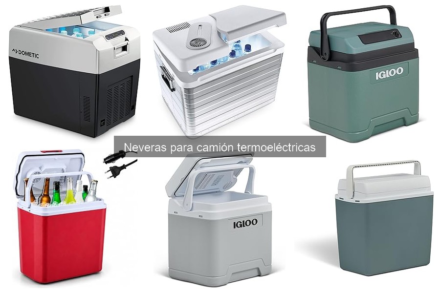 Guía sobre neveras termoeléctricas para camiones