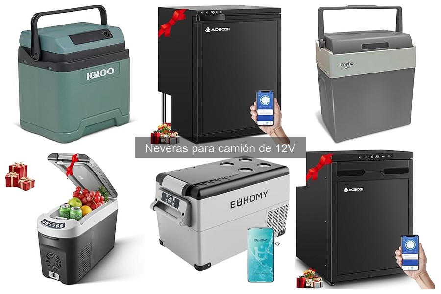 Neveras de 12V asequibles para camiones: ofertas y opciones