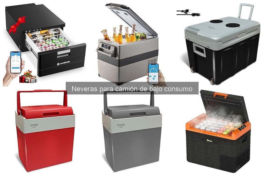 Optimiza el uso de tu nevera de bajo consumo para camión