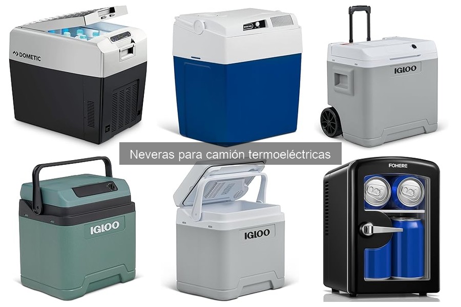 Precios de neveras termoeléctricas para camiones: Guía de compras