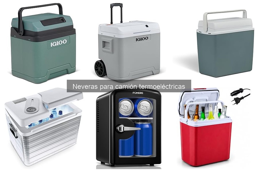 Problemas Comunes con Neveras Termoeléctricas y Soluciones