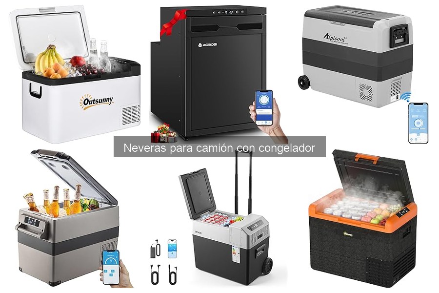 ¿Qué son las neveras para camión con congelador?