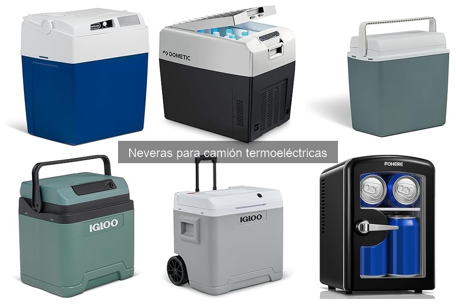 Testimonios sobre Neveras Termoeléctricas para Camiones
