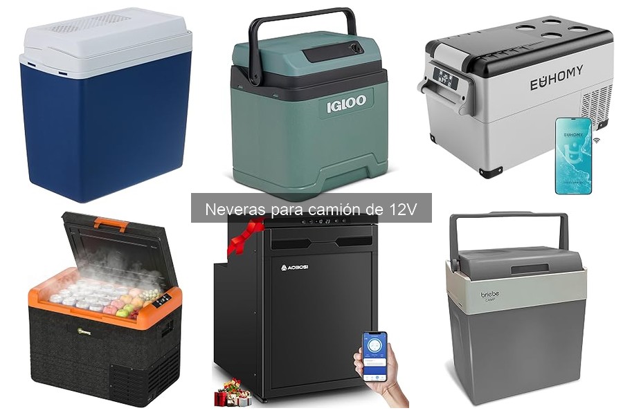 Tipos de neveras para camiones de 12V: Guía completa